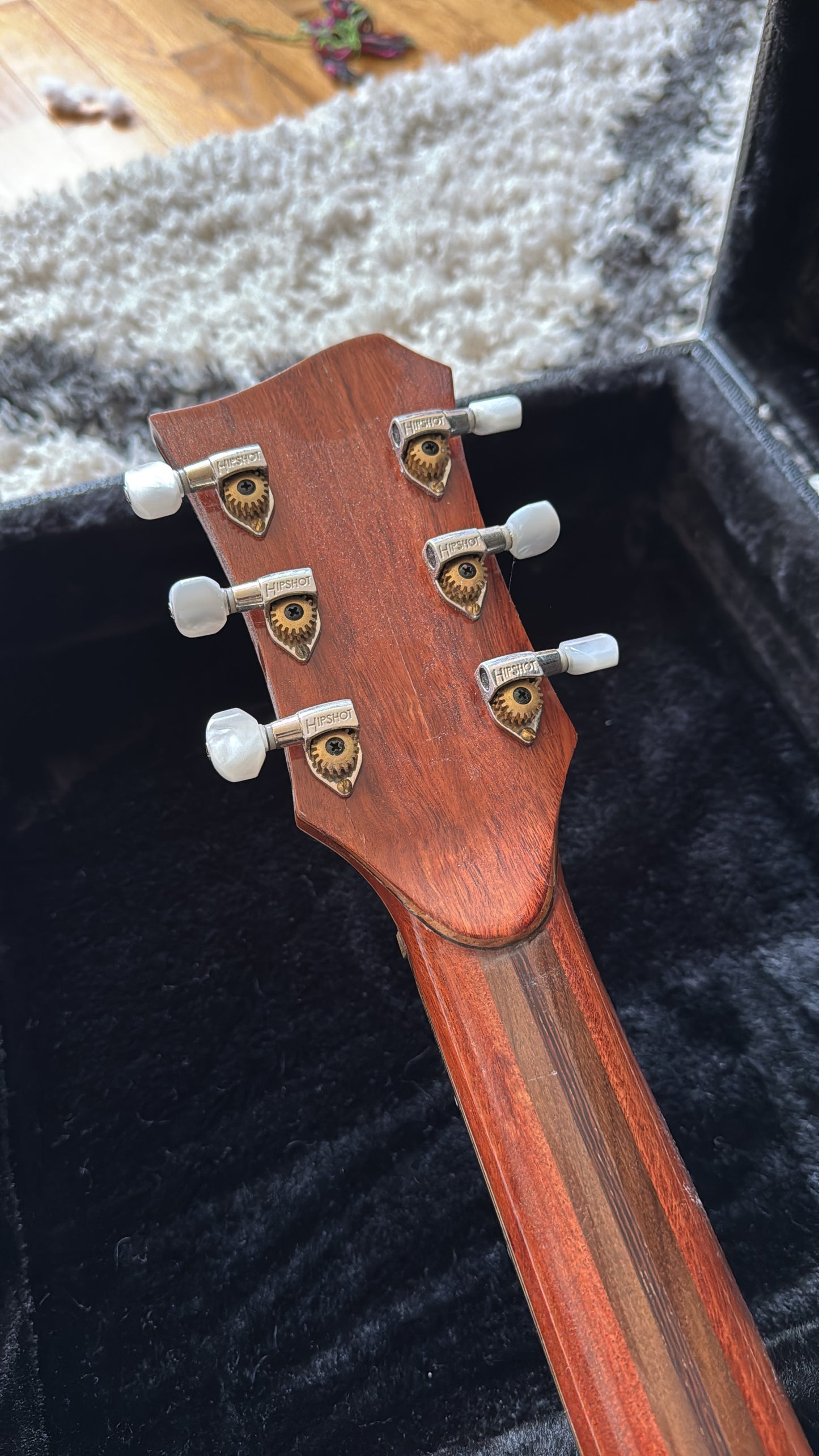 Used Bubinga Bella